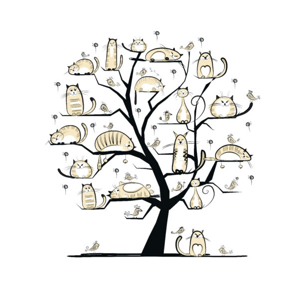Árvore com gatos Árvore com gatos