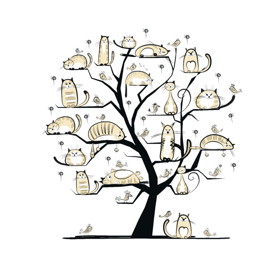 Árvore com gatos Árvore com gatos