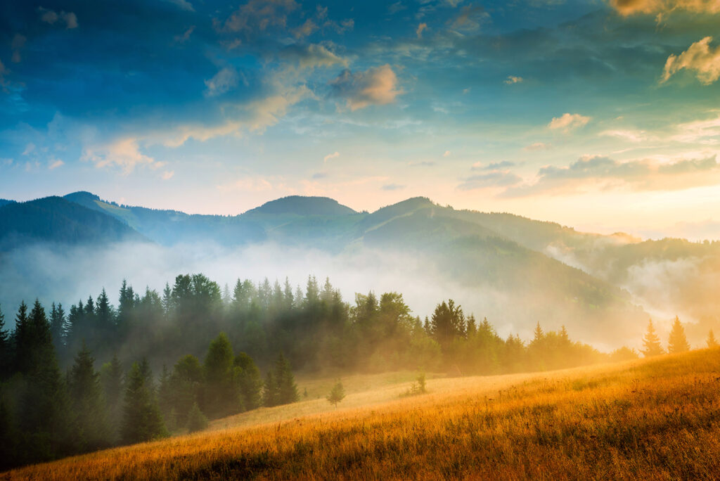 Paisagem com árvores e montanhas Paisagem com árvores e montanhas