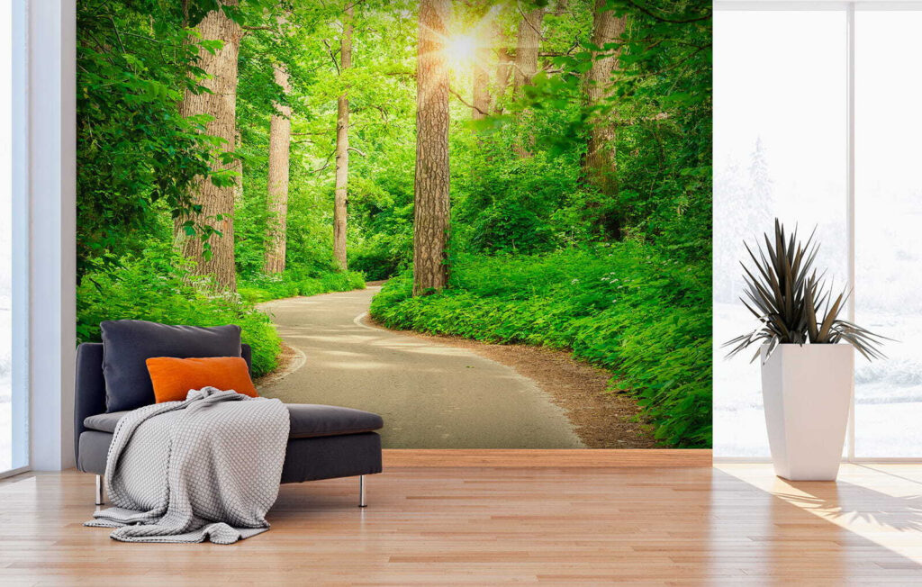 Road through a forest Road through a forest