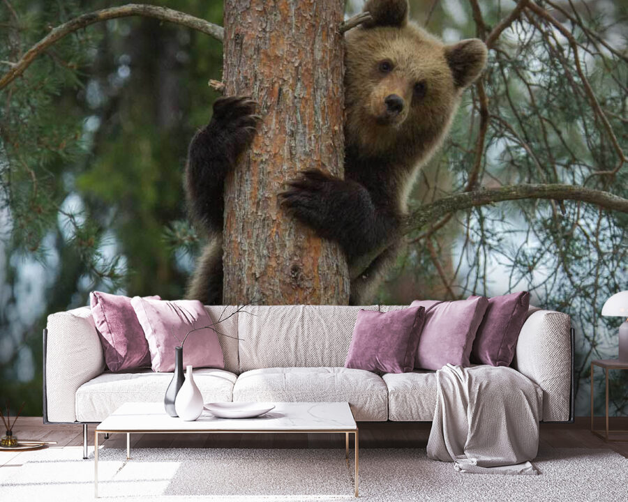 Urso a trepar a uma árvore