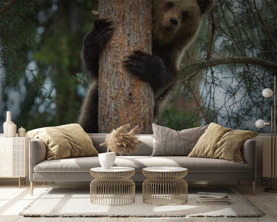 Urso a trepar a uma árvore