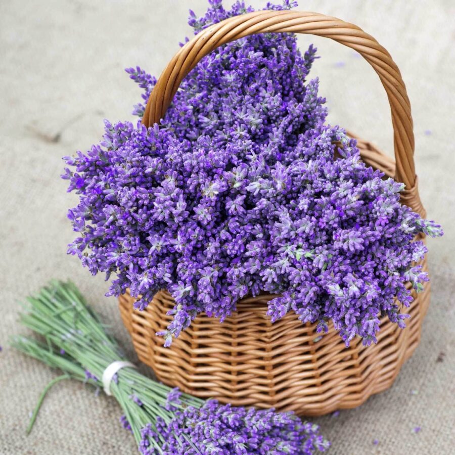 Cesto de flores roxas
