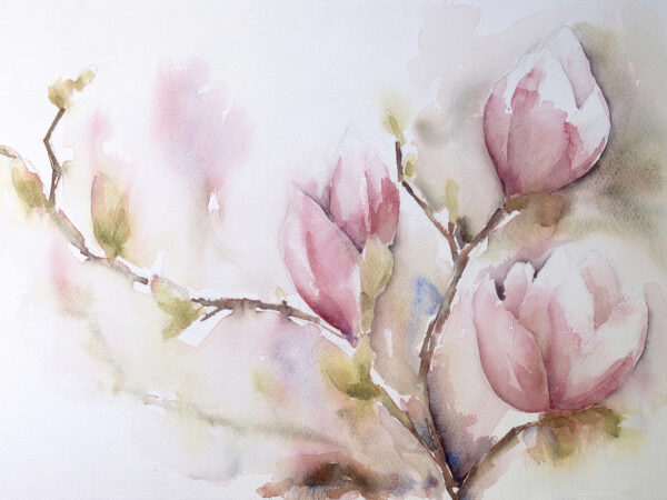 Pintura a aguarela de flores cor-de-rosa Pintura a aguarela de flores cor-de-rosa