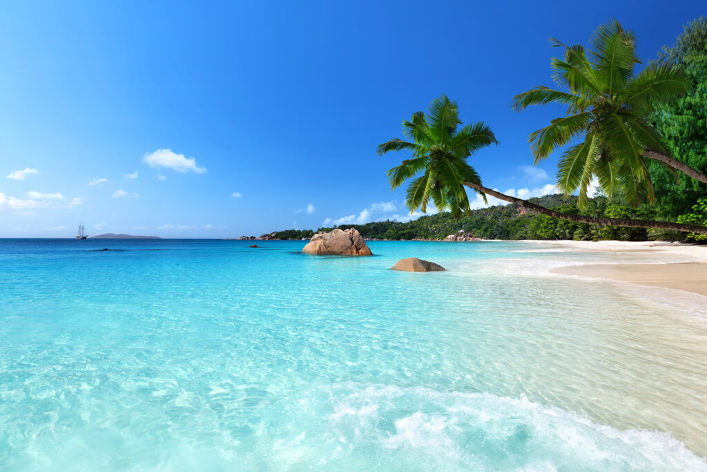 Praia com palmeiras e água azul Praia com palmeiras e água azul