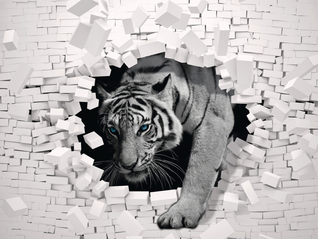 Tigre a sair de uma parede Tigre a sair de uma parede