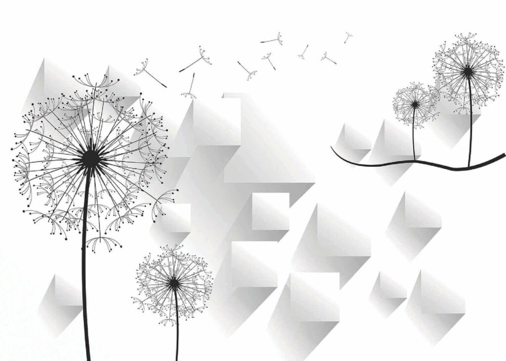 Flores de dente-de-leão e um fundo branco Flores de dente-de-leão e um fundo branco