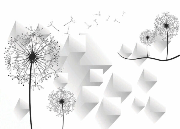 Flores de dente-de-leão e um fundo branco Flores de dente-de-leão e um fundo branco