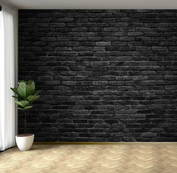 Parede de tijolo preto com uma mancha branca Parede de tijolo preto com uma mancha branca