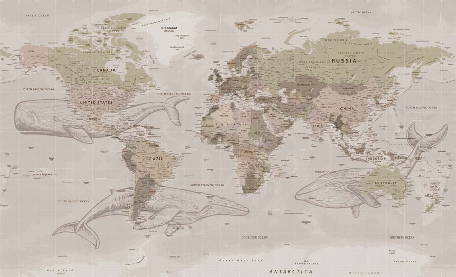 Mapa do mundo com baleias