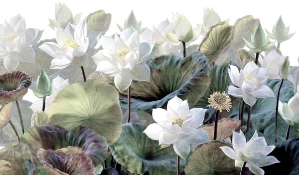 Grupo de flores brancas e folhas verdes Grupo de flores brancas e folhas verdes