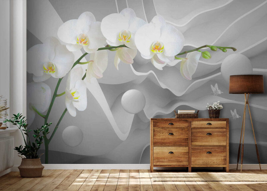 Orquídeas brancas e bolas brancas