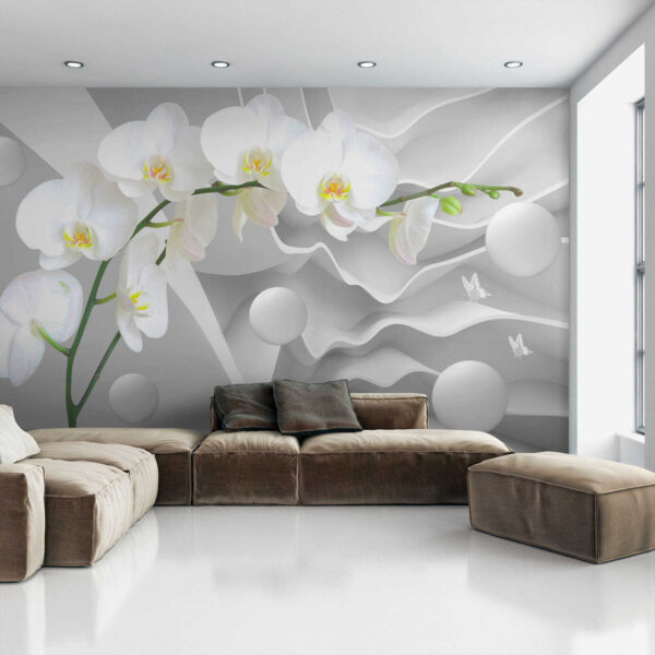 Orquídeas brancas e bolas brancas Orquídeas brancas e bolas brancas