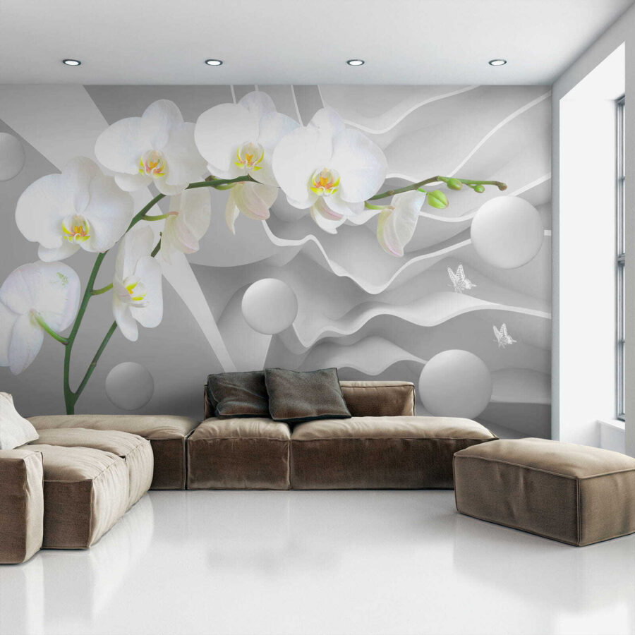 Orquídeas brancas e bolas brancas