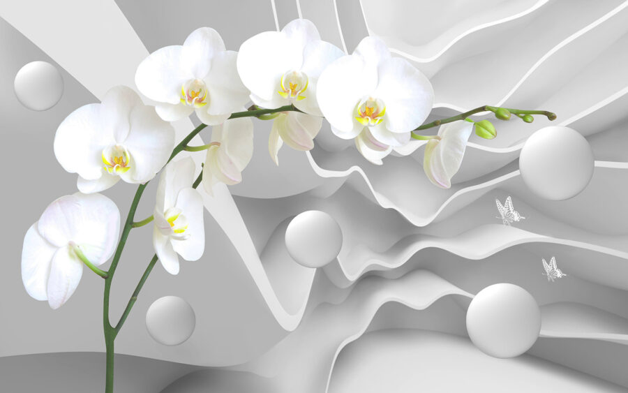 Orquídeas brancas e bolas brancas
