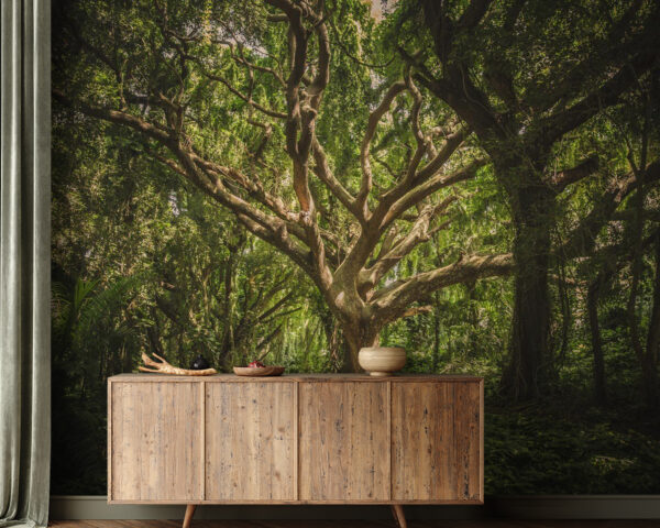 Árvore de grande porte numa floresta Árvore de grande porte numa floresta