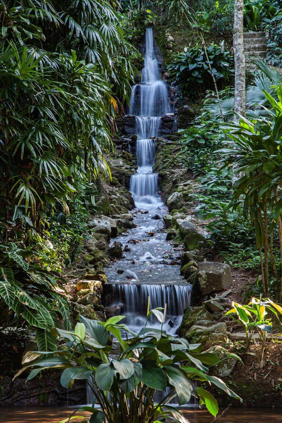 Queda de água numa selva