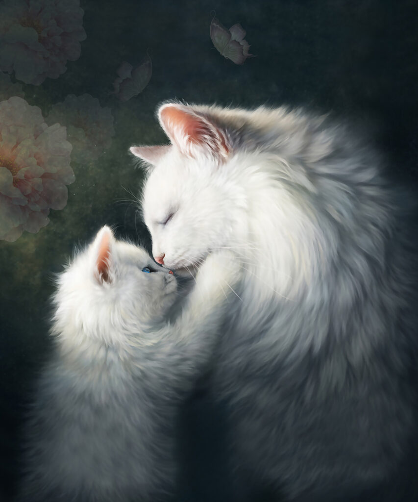 Gato e gatinho a beijarem-se Gato e gatinho a beijarem-se