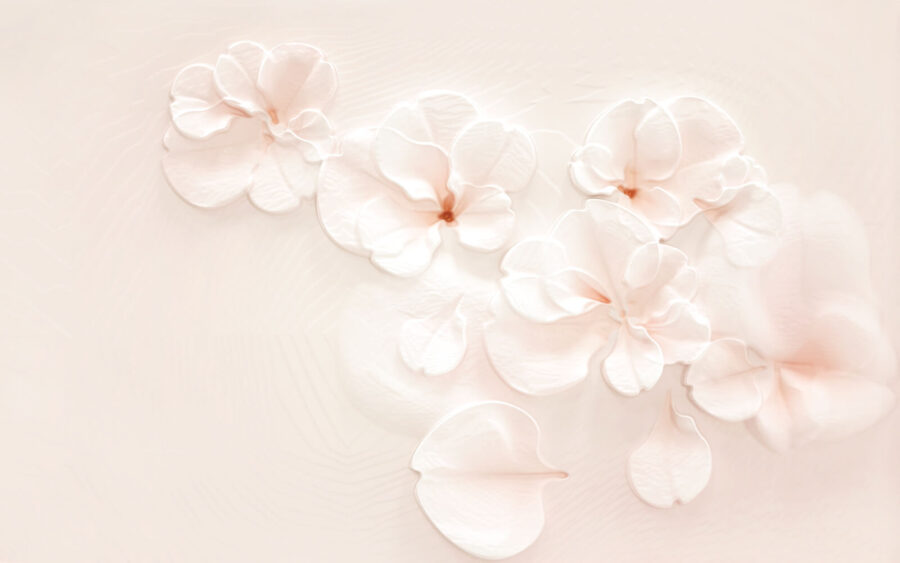 Grupo de flores brancas