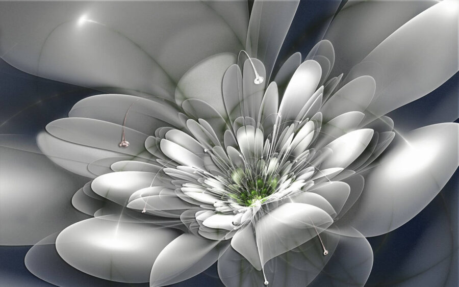 Flor branca com centro verde