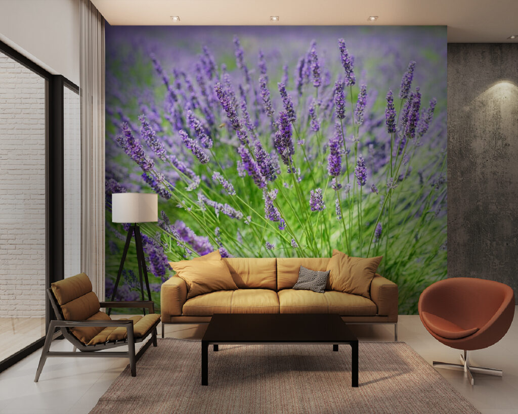 Campo de lavanda vibrante em flor u36335pig28m 1024x819 - Campo de lavanda vibrante em flor - tegory