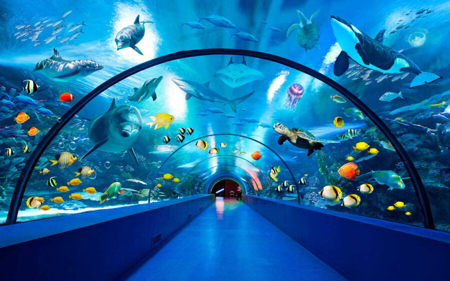 Túnel com peixes e animais