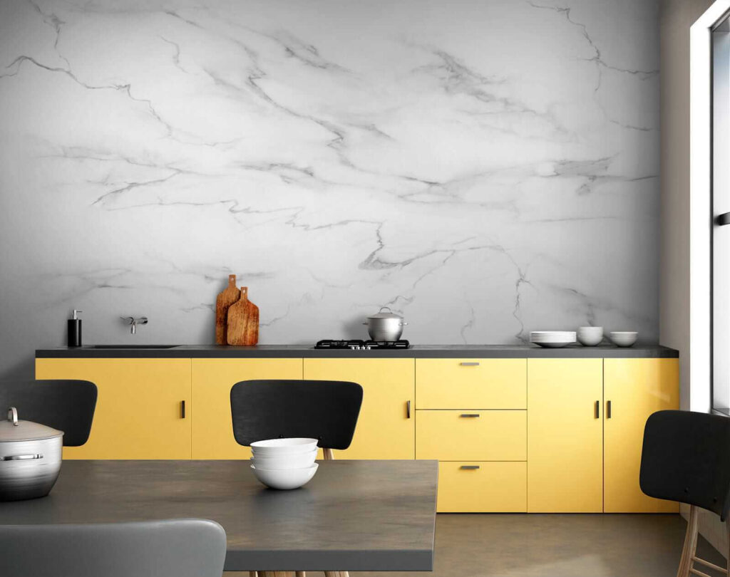 White marble with black veins
