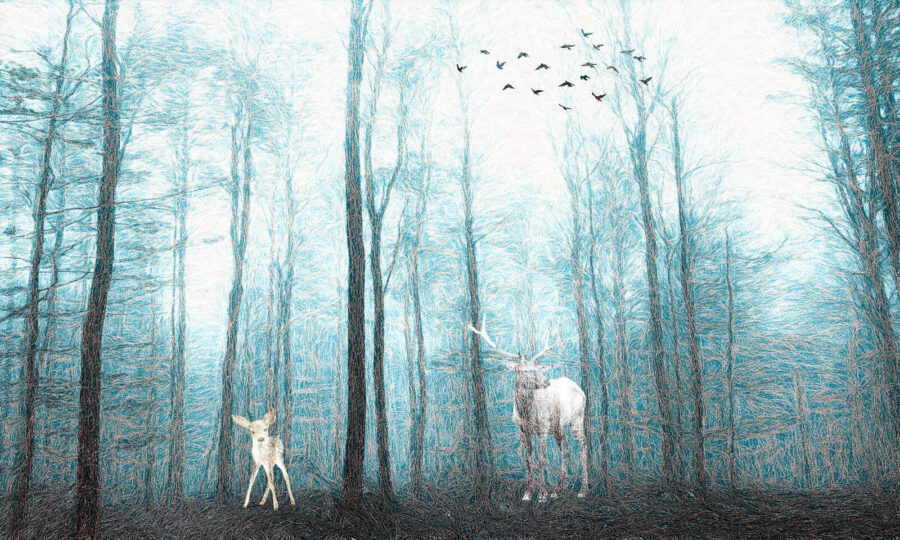 Veados no bosque Veados no bosque