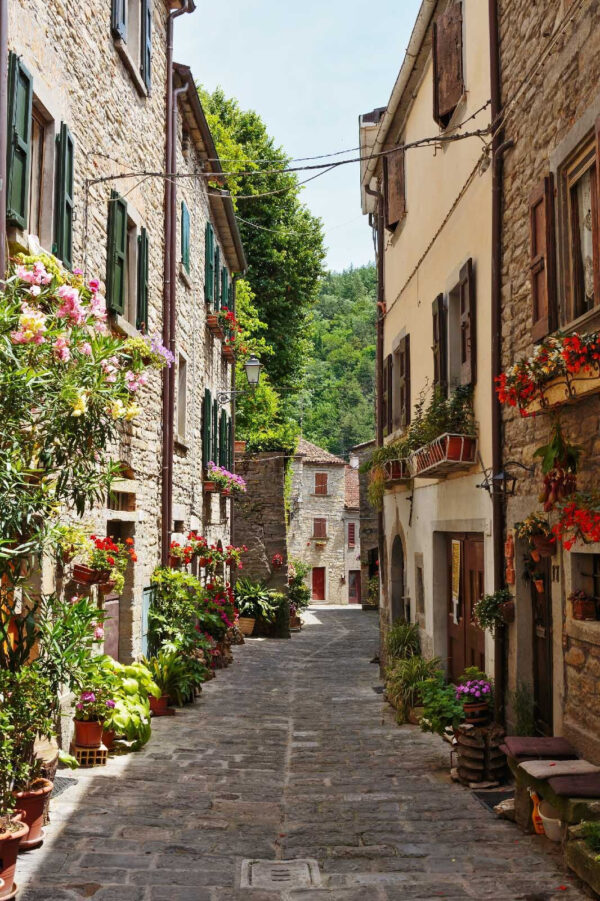 Rua estreita com flores e plantas ao lado Rua estreita com flores e plantas ao lado
