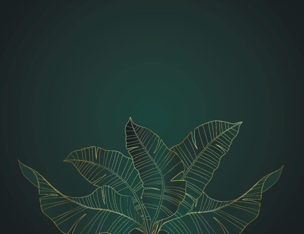 Wall murals Elegant leaves on a dark background Wall murals Elegant leaves on a dark background