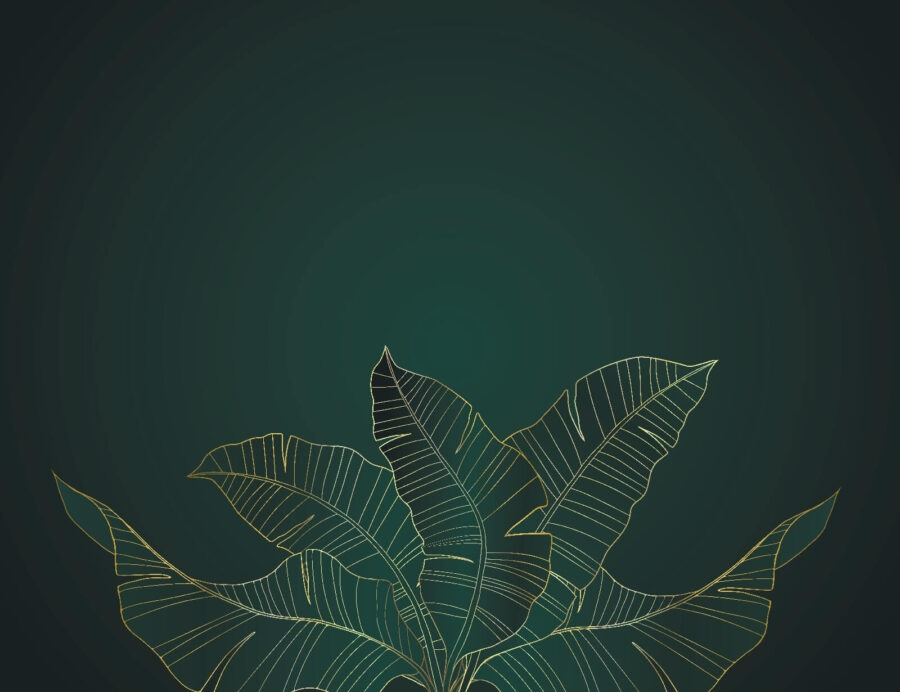 Wall murals Elegant leaves on a dark background