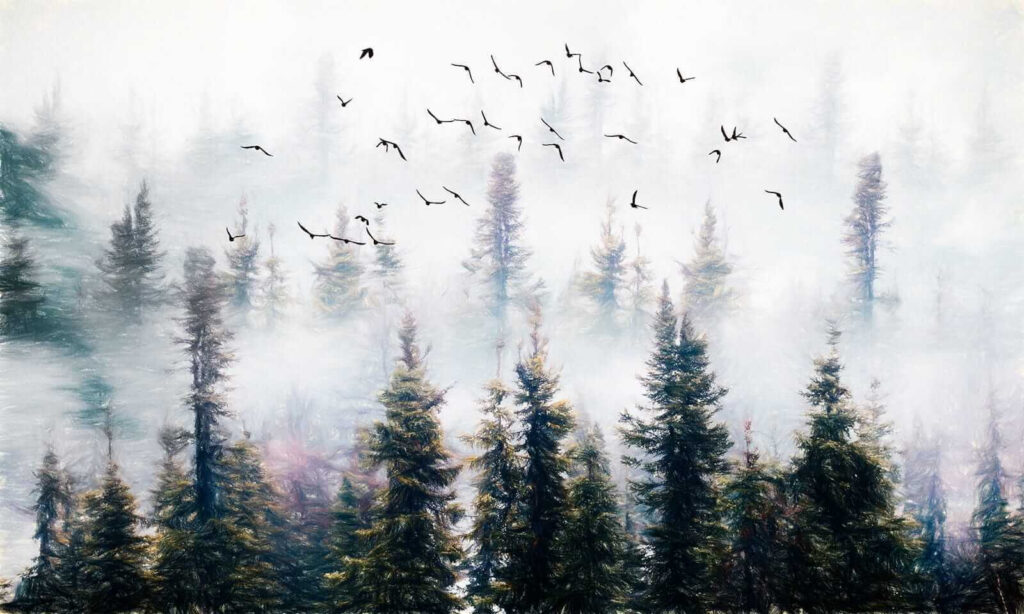 Pássaros a voar no céu sobre as árvores Pássaros a voar no céu sobre as árvores