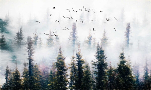 Pássaros a voar no céu sobre as árvores Pássaros a voar no céu sobre as árvores