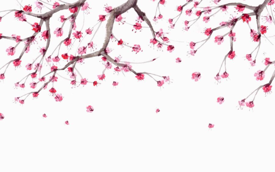 Árvore com flores cor-de-rosa