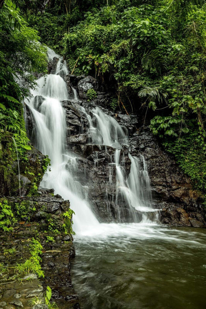 Cascata no meio de uma floresta Cascata no meio de uma floresta
