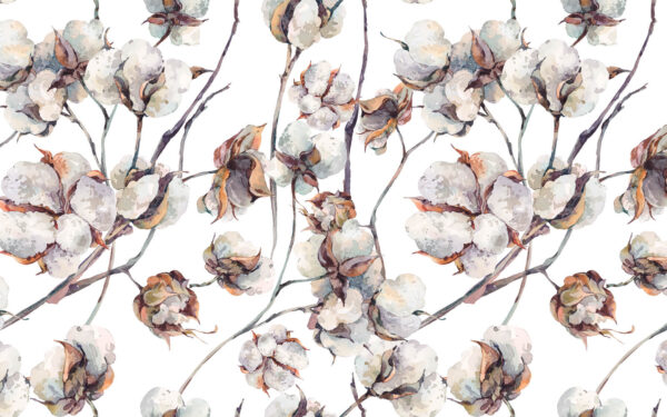 Padrão de flores de algodão Padrão de flores de algodão