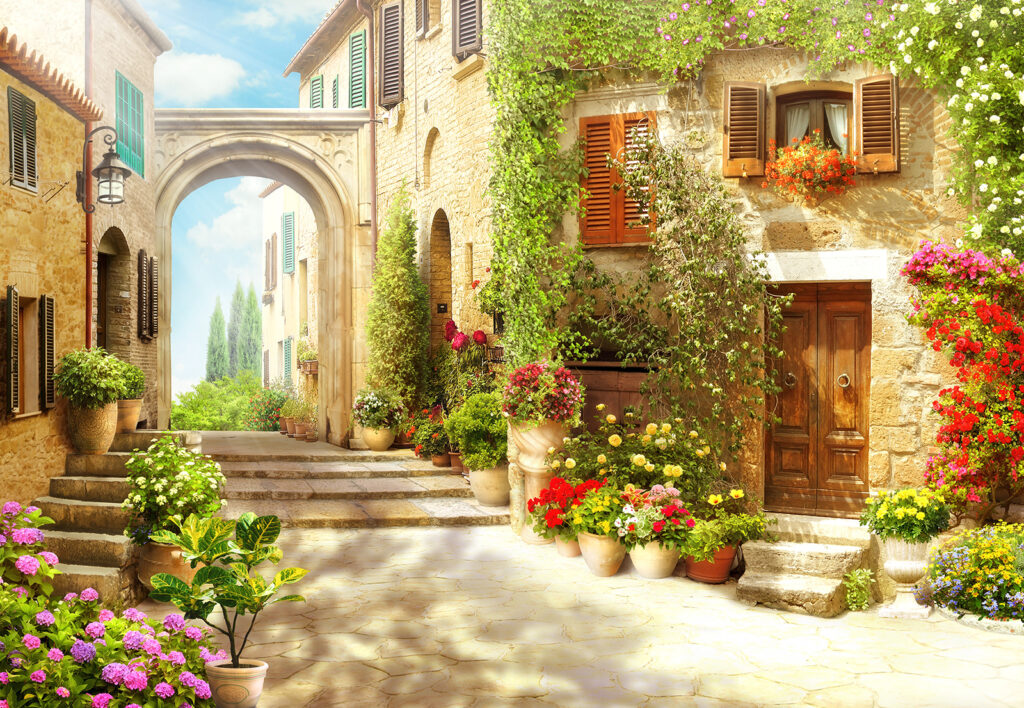 Stone building with a door and a doorway with plants in pots