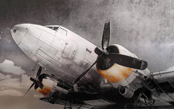 Avião com hélices Avião com hélices
