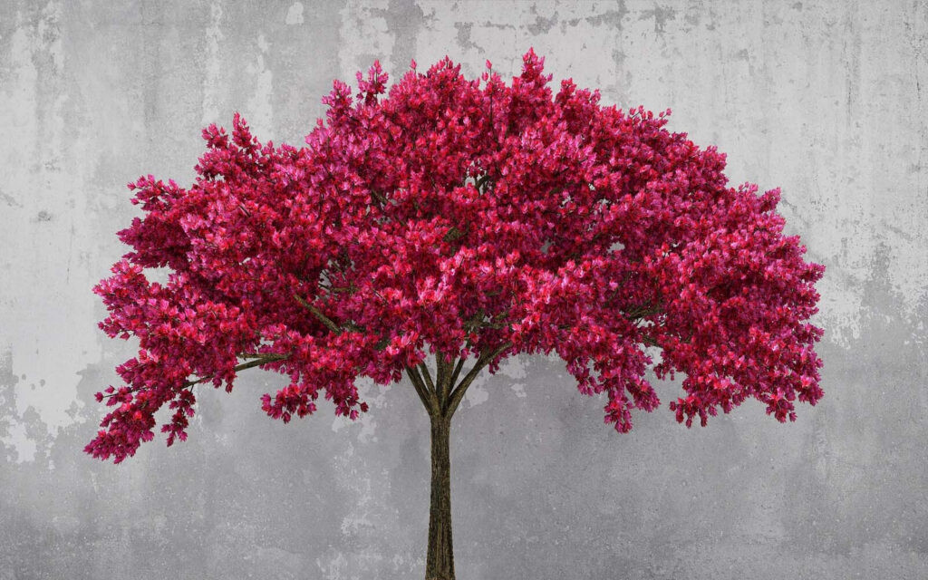 Árvore com flores cor-de-rosa Árvore com flores cor-de-rosa