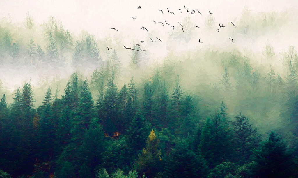 Pássaros a voar sobre uma floresta Pássaros a voar sobre uma floresta