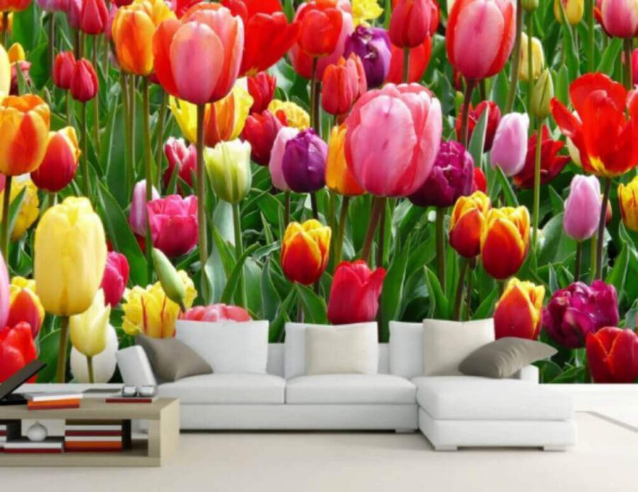 Grupo de tulipas coloridas