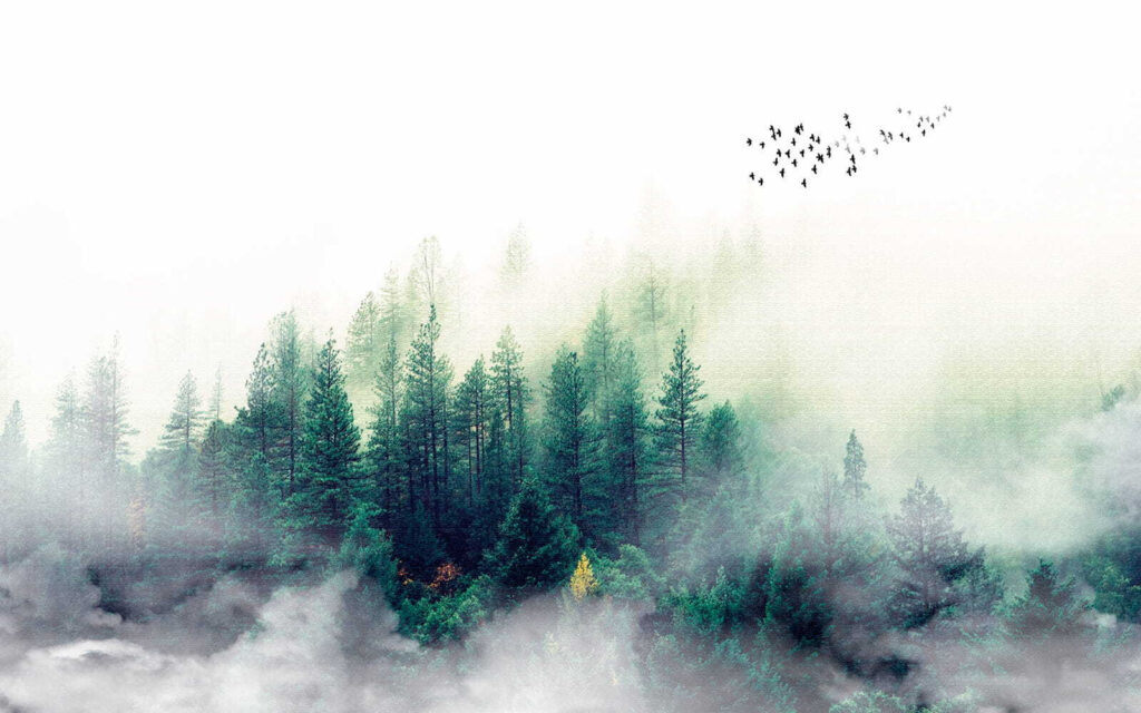 Pássaros a voar sobre uma floresta Pássaros a voar sobre uma floresta