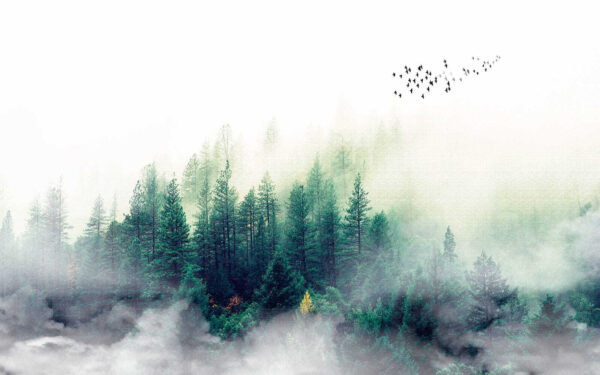 Pássaros a voar sobre uma floresta Pássaros a voar sobre uma floresta