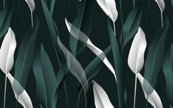 Folhas elegantes num fundo escuro. Folhas elegantes num fundo escuro.