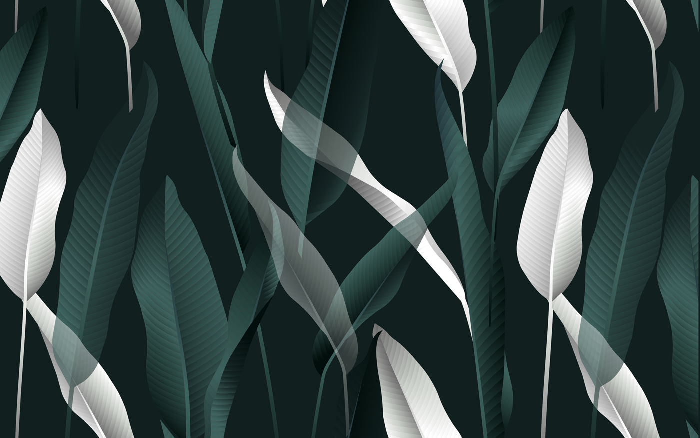 Elegant leaves on a dark backdrop