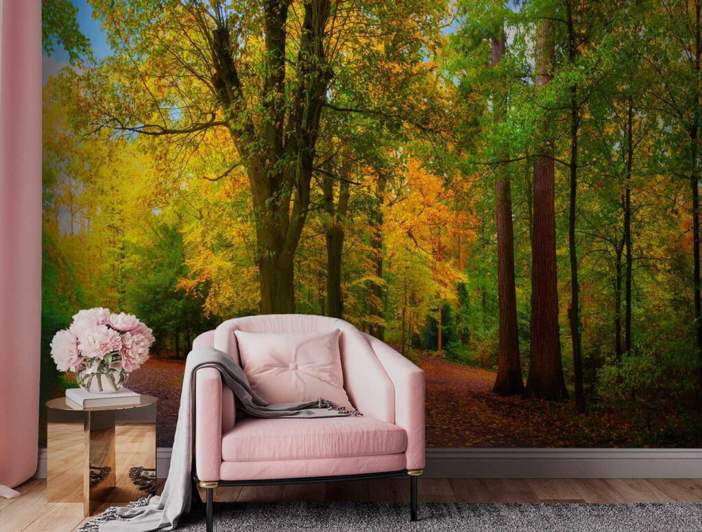 Path with trees and leaves on it