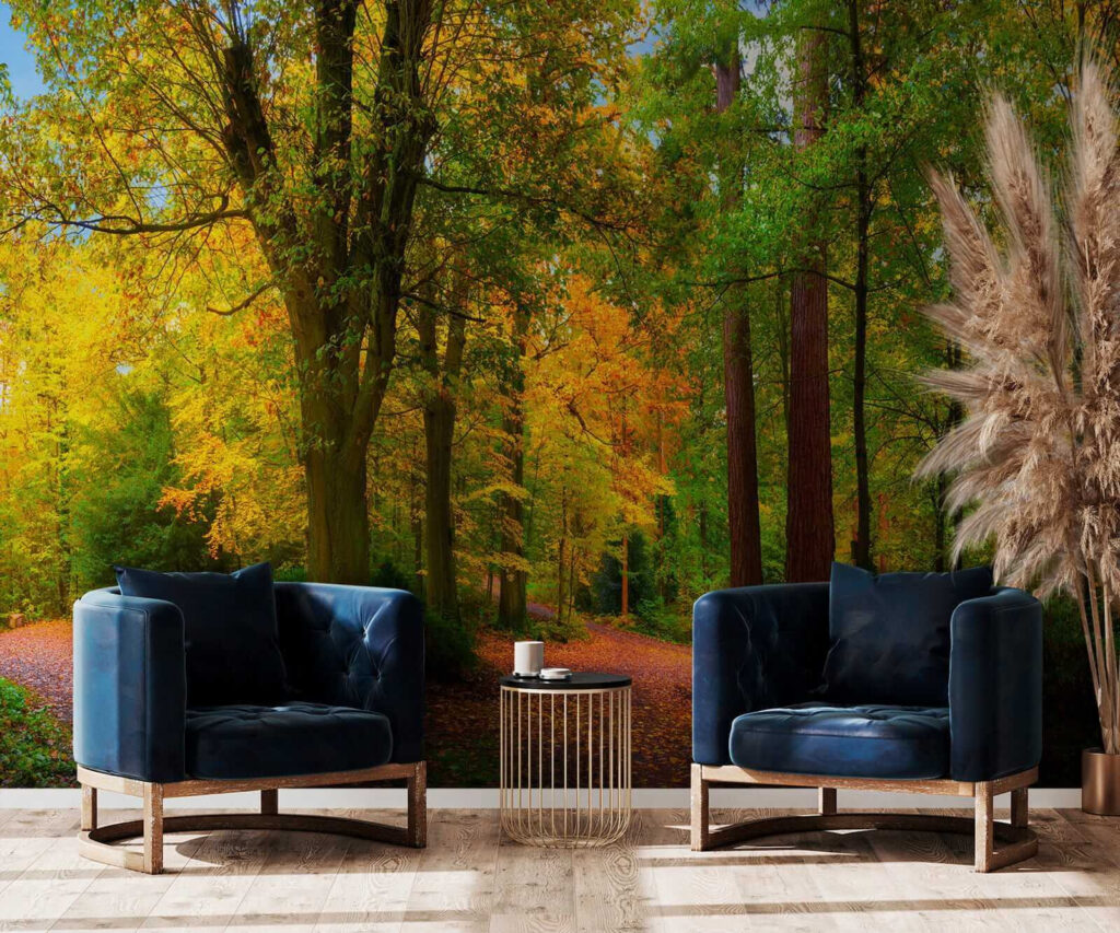 Path with trees and leaves on it