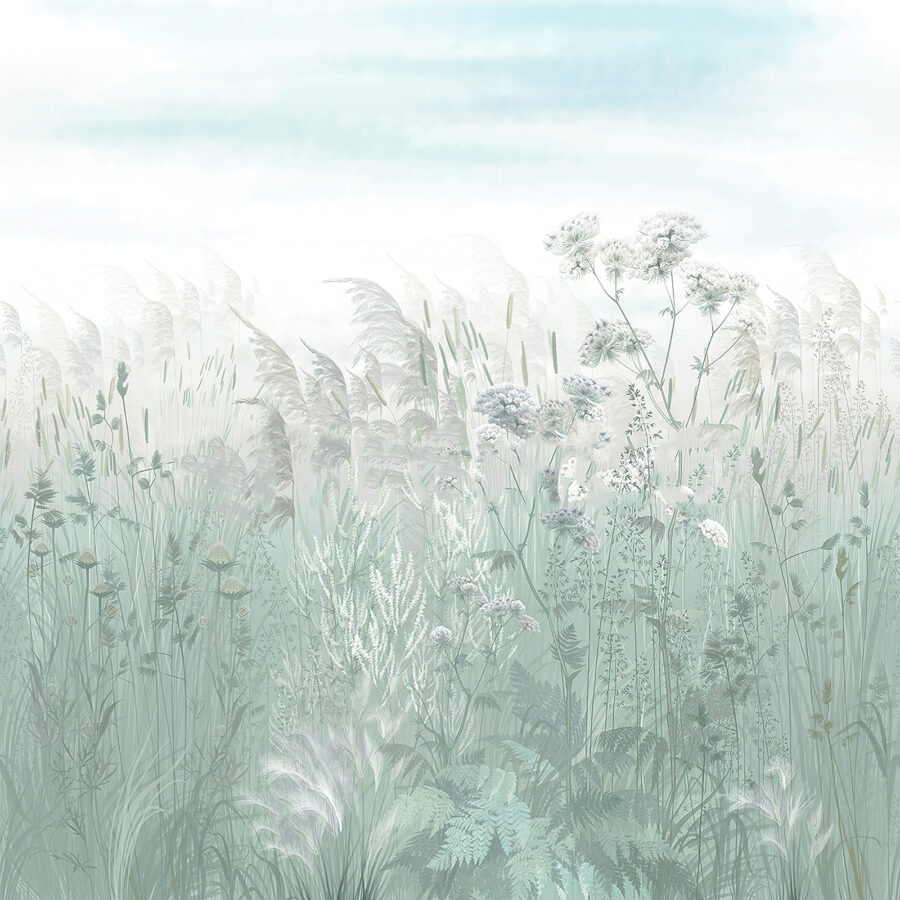 Campo de relva e flores