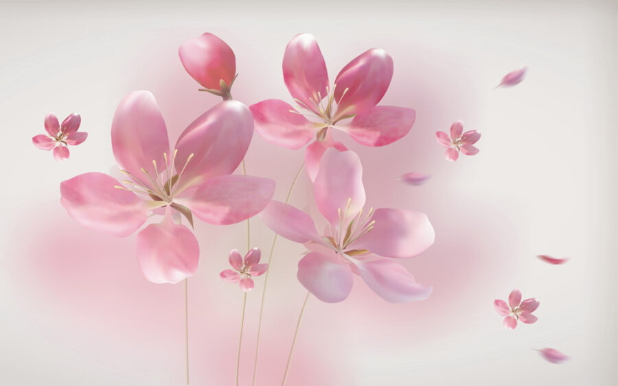 Grupo de flores cor-de-rosa