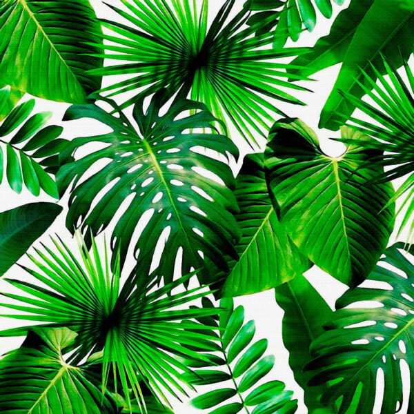Grupo de folhas verdes Grupo de folhas verdes
